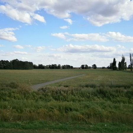 Апартаменты Alles Paletti Mit Klimaanlage Wittenberg Экстерьер фото